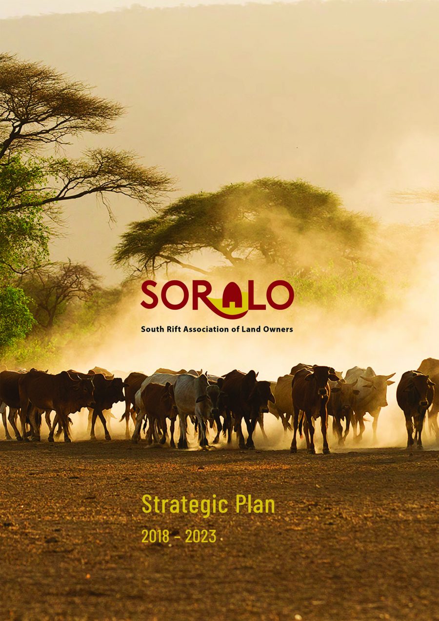 Soralo Strategic Plan 2018-2023